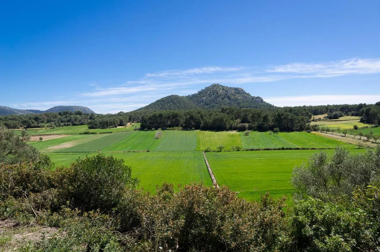Can Gallot De Punxuat Algaida